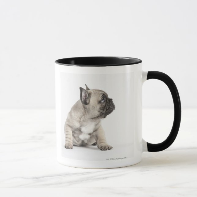 Taza Perrito pedigrí (Derecha)