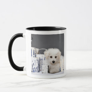 Taza Perrito que se sienta entre las latas de la