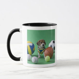 Taza Perrito rodeado por las bolas del deporte
