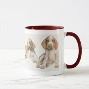 Taza Perritos de Bracco Italiano