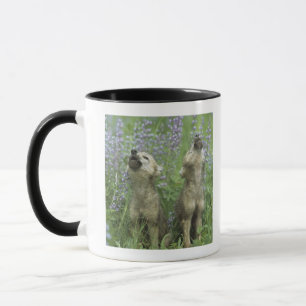 Taza Perritos de lobo que gritan en prado