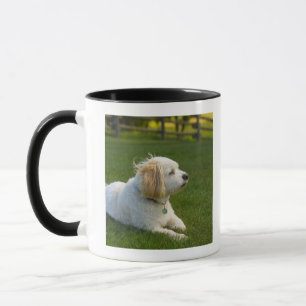 Taza Perro blanco