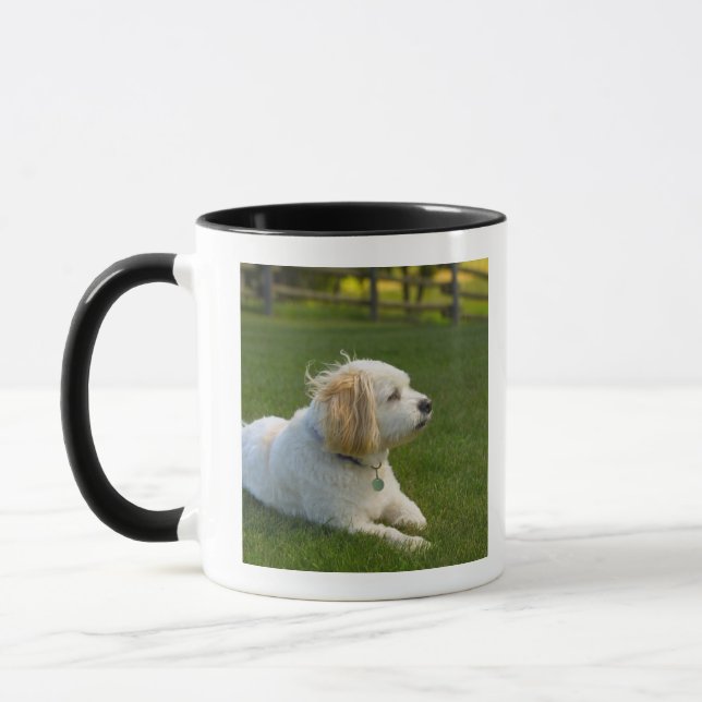 Taza Perro blanco (Izquierda)