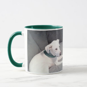Taza Perro blanco porcino con escarcha verde gris