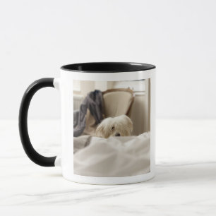 Taza Perro blanco que oculta detrás de la cama (foco