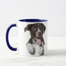 Perro café Combo, foto de perro personalizado