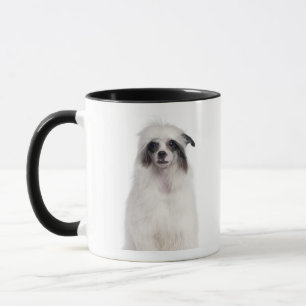Taza Perro con cresta chino (7 meses)