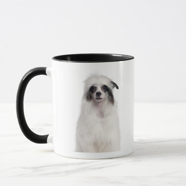 Taza Perro con cresta chino (7 meses) (Izquierda)