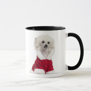 Taza Perro con cresta chino a que lleva (de 1 año)