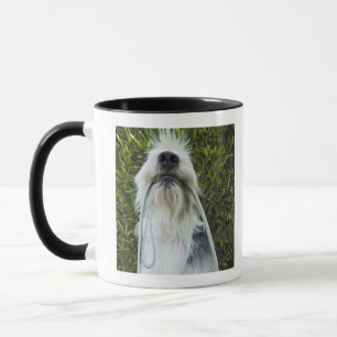 Taza Perro con el correo en boca