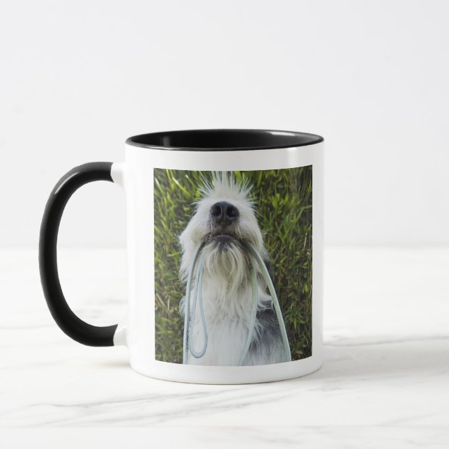 Taza Perro con el correo en boca (Izquierda)