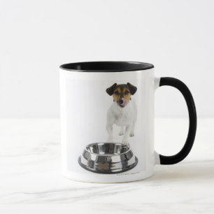 Taza Perro con el cuenco grande