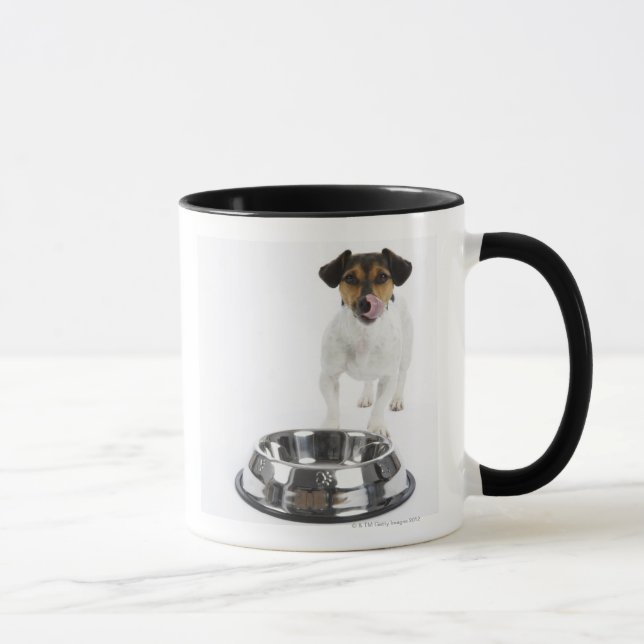 Taza Perro con el cuenco grande (Derecha)