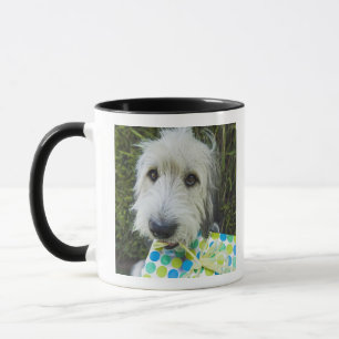 Taza Perro con el regalo en boca