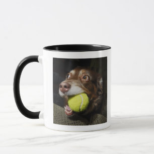 Taza Perro con la pelota de tenis