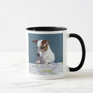 Taza Perro con los vidrios de lectura que estudia el