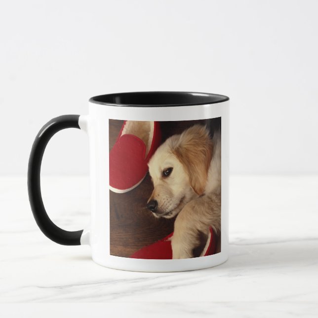 Taza Perro con los zapatos que mienten en el piso de (Izquierda)