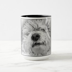 Taza Perro Coton de Tulear