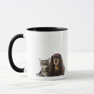 Taza Perro (Dachshund) y gato (gato japonés) en blanco