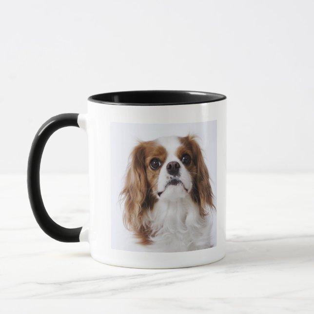 Taza Perro de aguas de rey Charles arrogante que se (Izquierda)