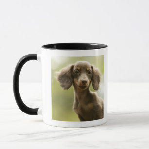 Taza Perro de la salchicha de Frankfurt (marrón)
