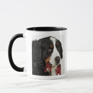 Taza Perro de montaña de Bernese (Berner Sennenhund)