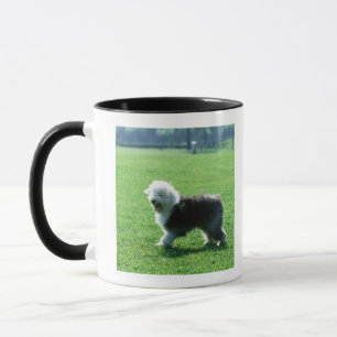 Taza Perro de ovejas inglés viejo
