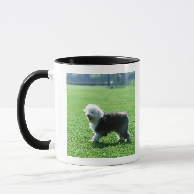 Taza Perro de ovejas inglés viejo (Izquierda)