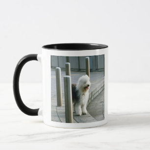 Taza Perro de ovejas inglés viejo 2