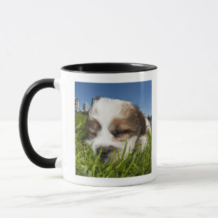 Taza Perro de perrito lindo en el parque, Vancouver,