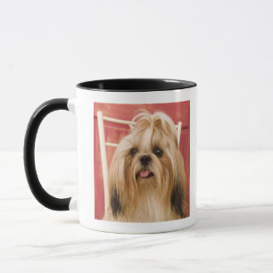 Taza Perro de Shih-tzu