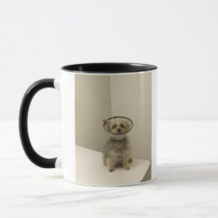 Taza Perro de Terrier que lleva el cuello protector,