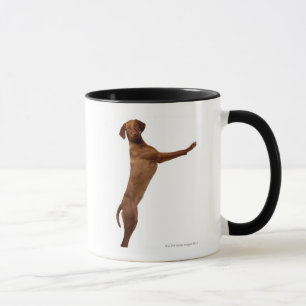 Taza Perro de Vizsla