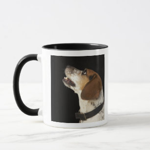 Taza Perro del beagle con perfil negro del cuello