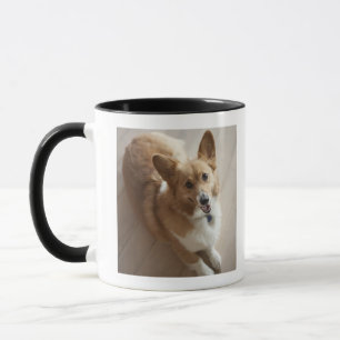 Taza Perro del corgi del Pembroke Galés que miente en
