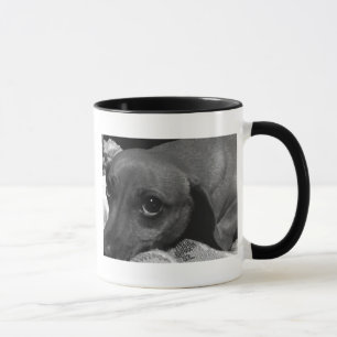 Taza Perro del Dachshund con los ojos tristes en blanco