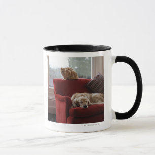 Taza Perro del golden retriever con el gato de tabby
