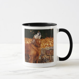 Taza Perro del golden retriever que grita en la