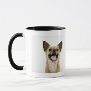 Taza Perro del jadeo