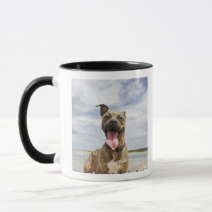 Taza perro en la playa