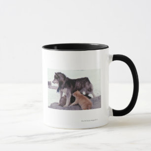 Taza Perro esquimal con la litera de perritos