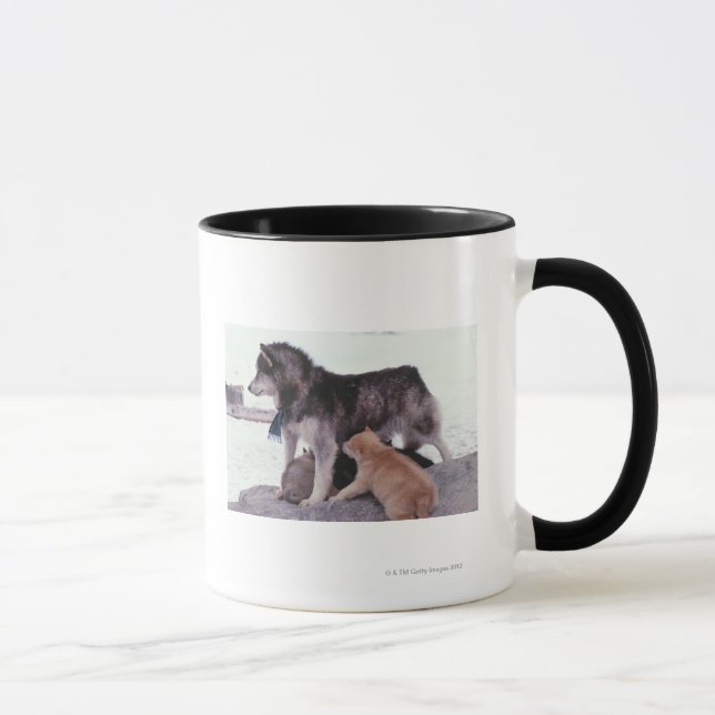 Taza Perro esquimal con la litera de perritos (Derecha)