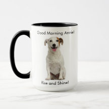 Perro feliz adaptable de Jack Russell