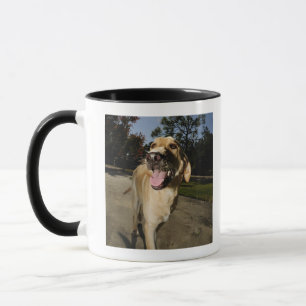 Taza Perro feliz que corre alrededor del ejercicio al