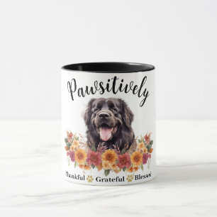 Taza Perro lindo agradecido bendito adorable