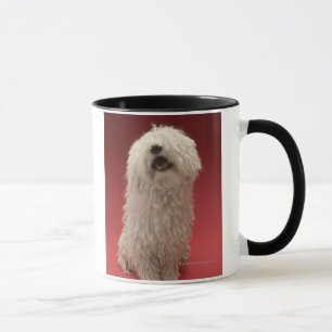 Taza Perro lindo de Komondor