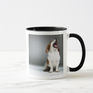 Taza Perro mezclado de la raza que bosteza
