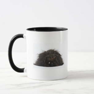 Taza Perro negro de Pekingese que se acuesta