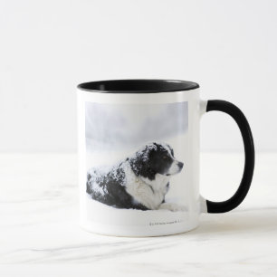 Taza Perro pastor (Akbash/mezcla del collie) que miente