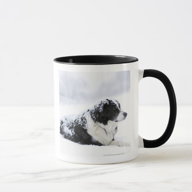Taza Perro pastor (Akbash/mezcla del collie) que miente (Derecha)
